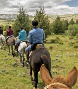 Cabalgata por el bosque de Cohiues - Imagen 2