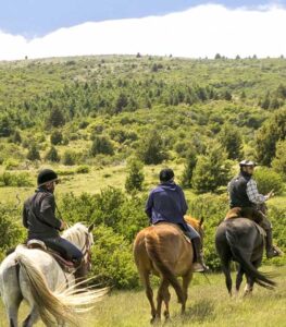 Cabalgata por el bosque de Cohiues - Imagen 3