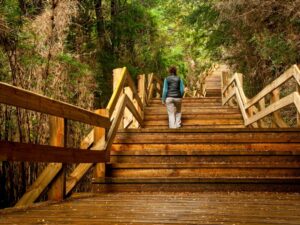 Excursión a Puerto Blest y Lago Frías con traslado - Imagen 2
