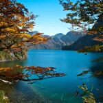 Excursión a Puerto Blest y Lago Frías con traslado