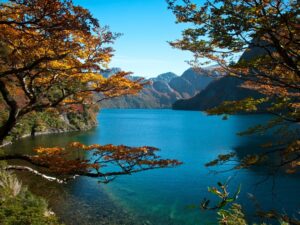 Excursión a Puerto Blest y Lago Frías con traslado