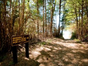 Excursión a Puerto Blest y Lago Frías con traslado - Imagen 3