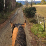 Cabalgata por el bosque de Cohiues