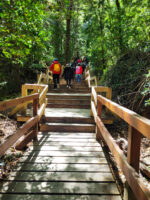 Puerto Blest y Cascada "Los Cantaros" con traslado - Imagen 4