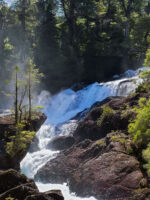 Puerto Blest y Cascada "Los Cantaros" con traslado - Imagen 5