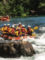 Rafting al límite con Chile Sin traslado - Imagen 5