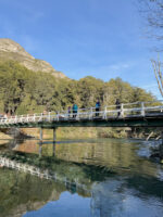 Cerro Tronador y Ventisquero Negro: exploración total en el corazón de la Patagonia - Imagen 4