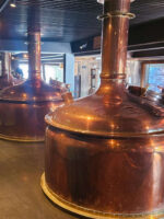 Bariloche Beer Experience - Imagen 2