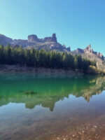 Circuito Grande: descubrí la Ruta de los Lagos y la magia cordillerana - Imagen 4