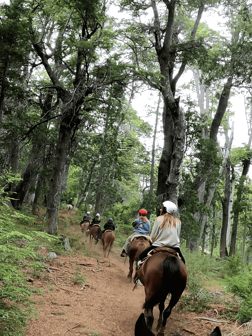 ADV2025CAPOELTVE7-0001 Cabalgata con vista al López-Aventura entre bosques y miradores del Circuito Chico - Imagen 1