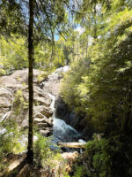 Puerto Blest y Cascada “Los Cantaros” Sin Traslado - Imagen 2