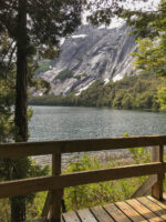 Puerto Blest y Cascada “Los Cantaros” Sin Traslado - Imagen 4